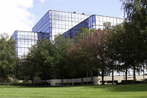 Commercial Tree Trimming in Antioch